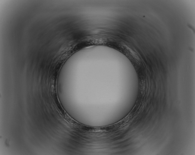 X0000094960553200711291130