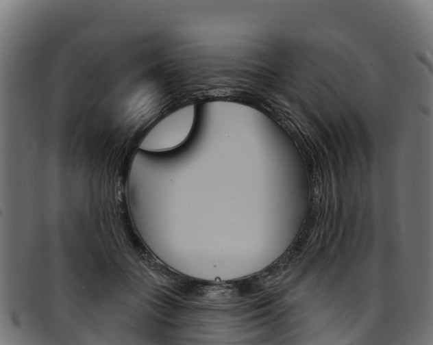 X0000094960555200711291130