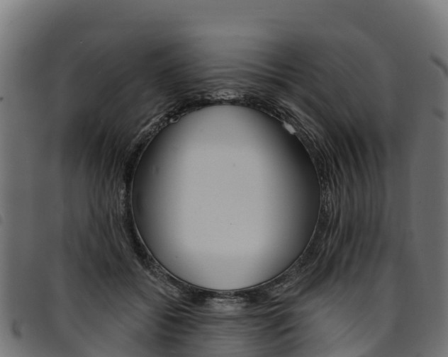 X0000094960556200711291130