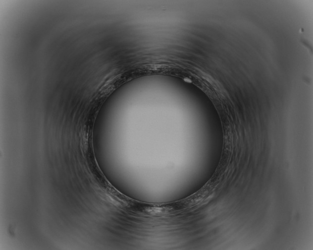 X0000094960558200711291130