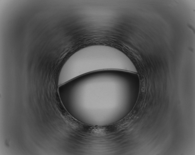 X0000094960560200711291130