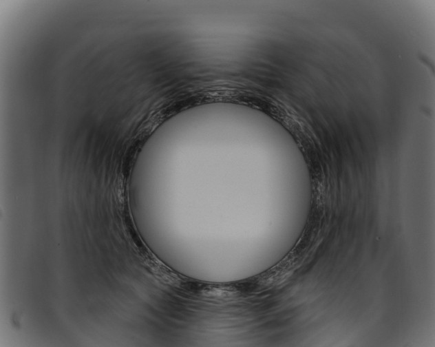 X0000094960561200711291130