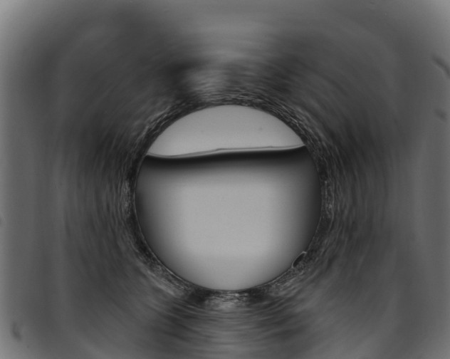 X0000094960563200711291130