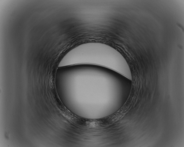 X0000094960564200711291130