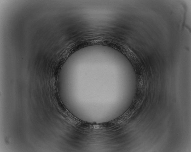 X0000094960565200711291130