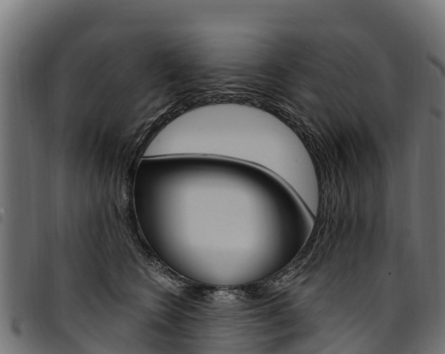 X0000094960566200711291130