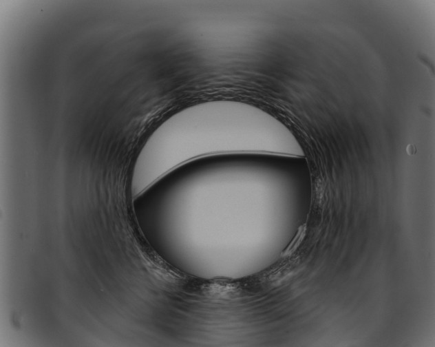X0000094960570200711291130