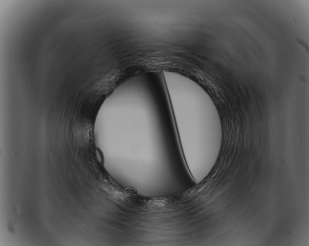 X0000094960574200711291130