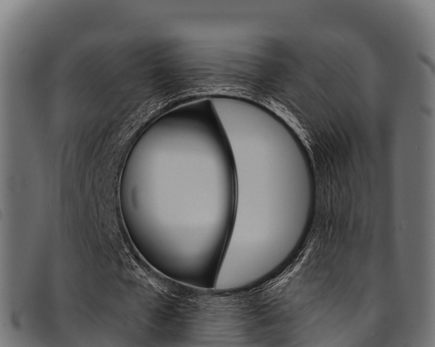 X0000094960577200711291130