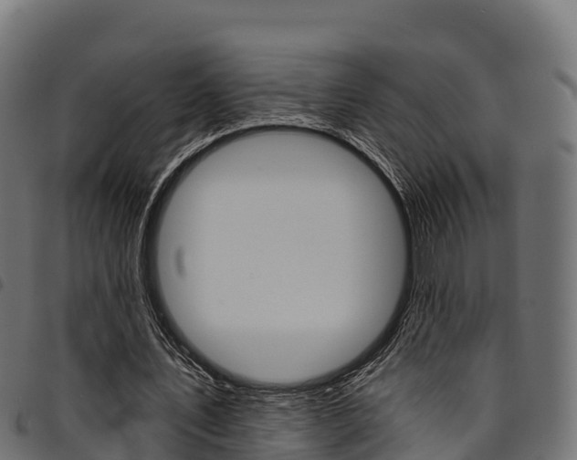 X0000094960579200711291130