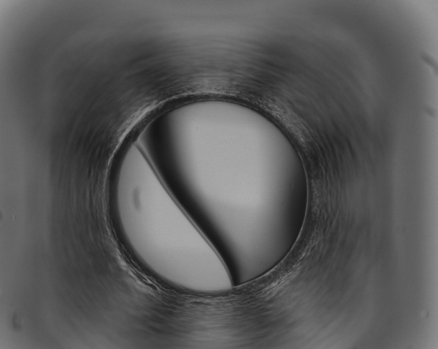 X0000094960580200711291130