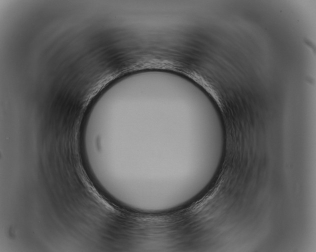 X0000094960581200711291130