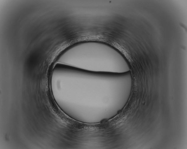 X0000094960582200711291130