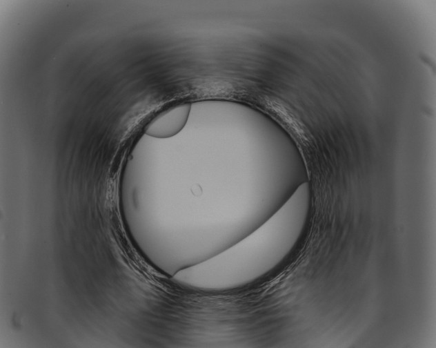 X0000094960583200711291130