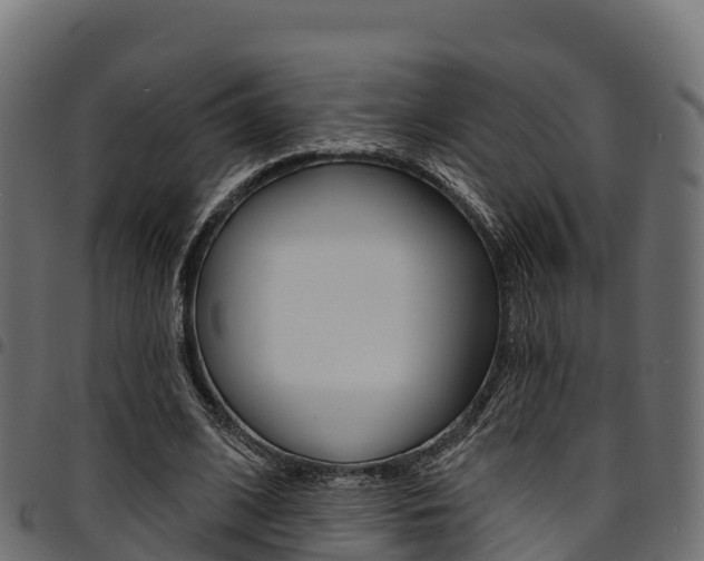X0000094960584200711291130