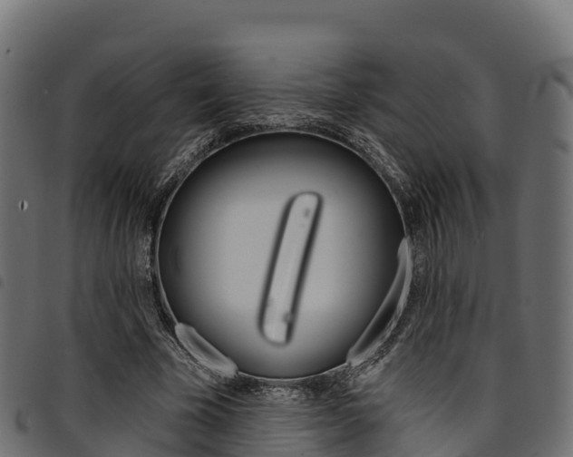 X0000094960585200711291130