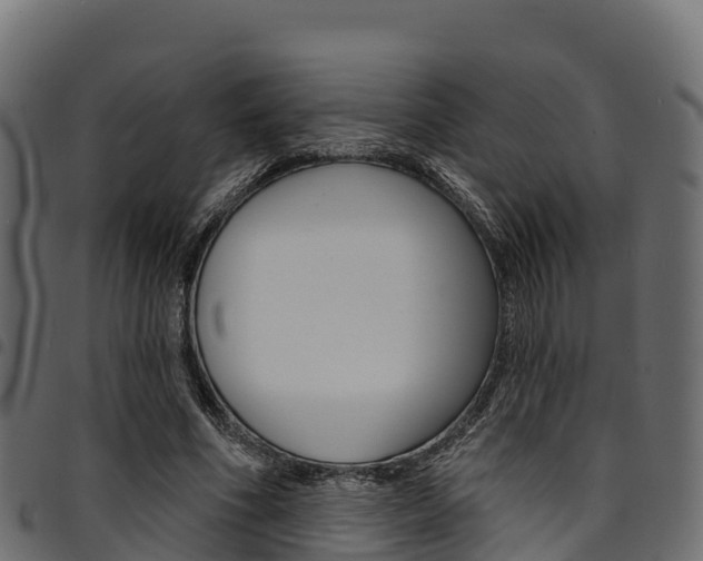 X0000094960586200711291130