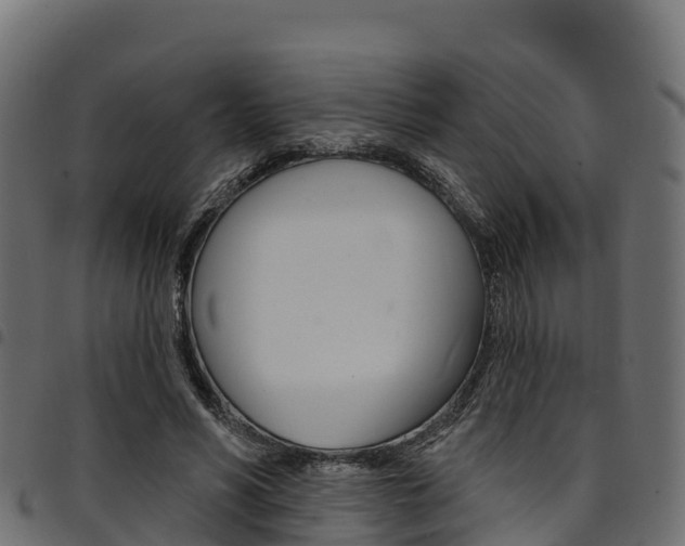 X0000094960590200711291129