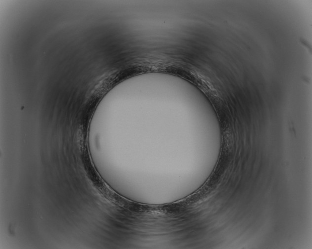 X0000094960594200711291129