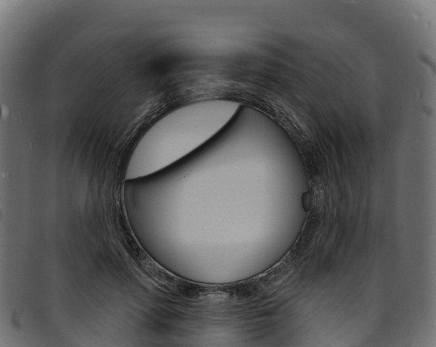 X0000094960598200711291129