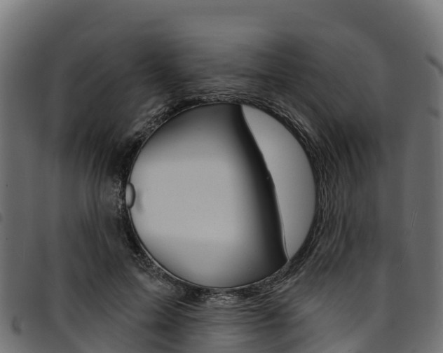 X0000094960599200711291129