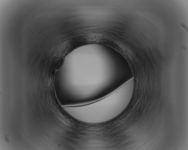 X0000094960601200711291129
