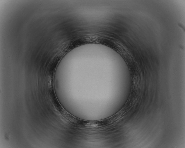 X0000094960602200711291129