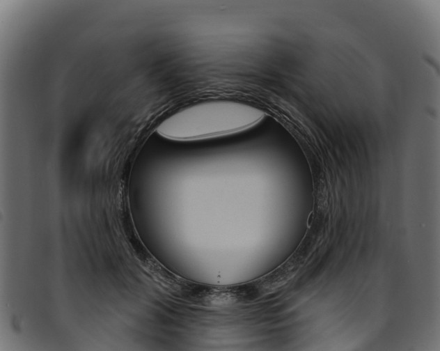 X0000094960604200711291129