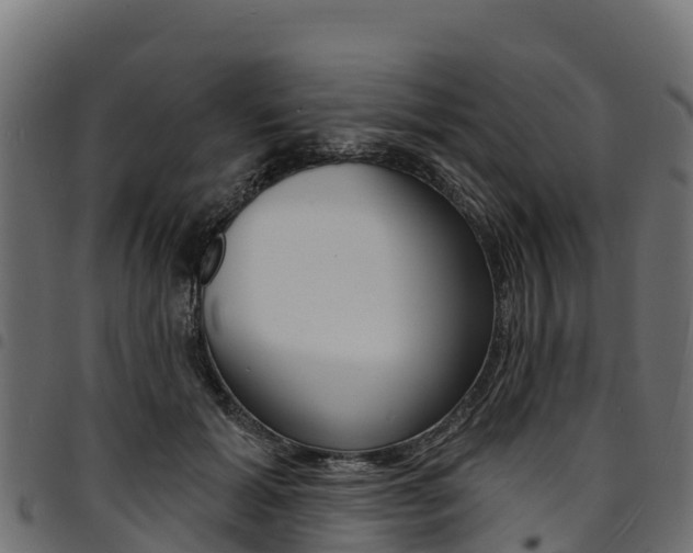 X0000094960605200711291129