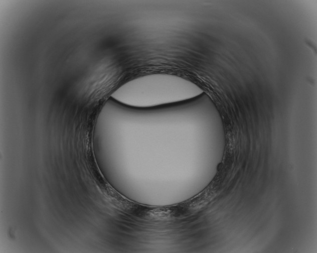 X0000094960606200711291129