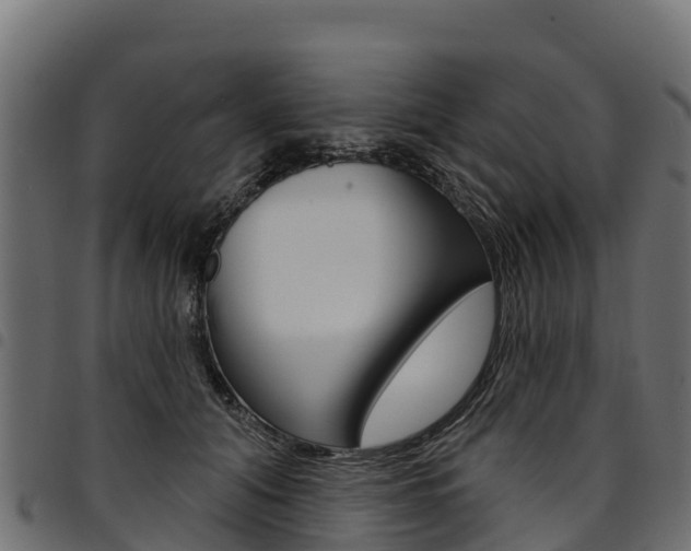 X0000094960608200711291129