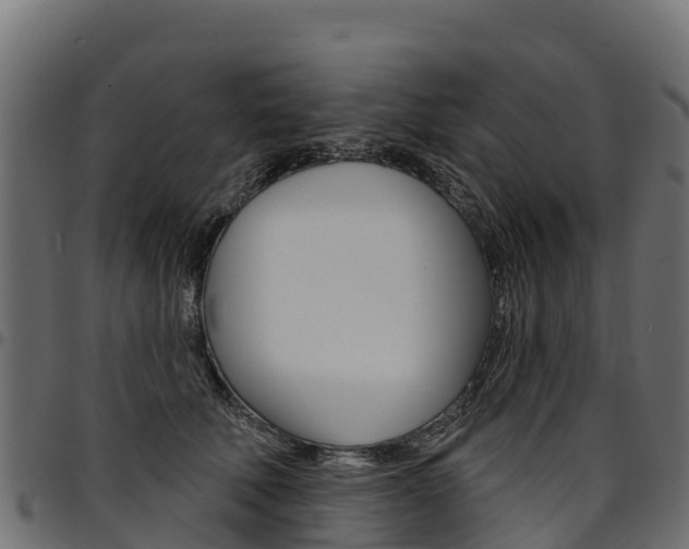X0000094960610200711291129