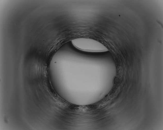X0000094960612200711291129