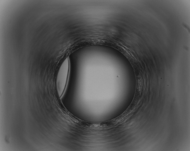 X0000094960613200711291129
