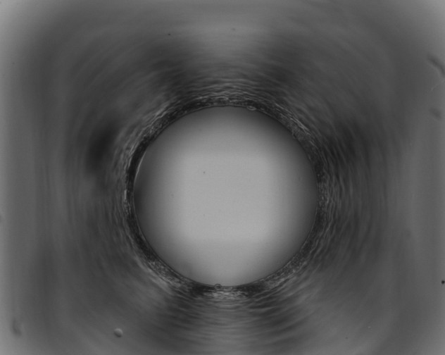 X0000094960615200711291129