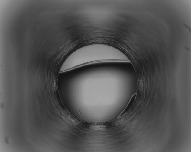 X0000094960617200711291129