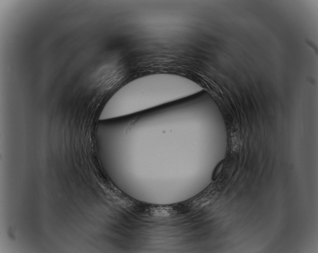 X0000094960618200711291129