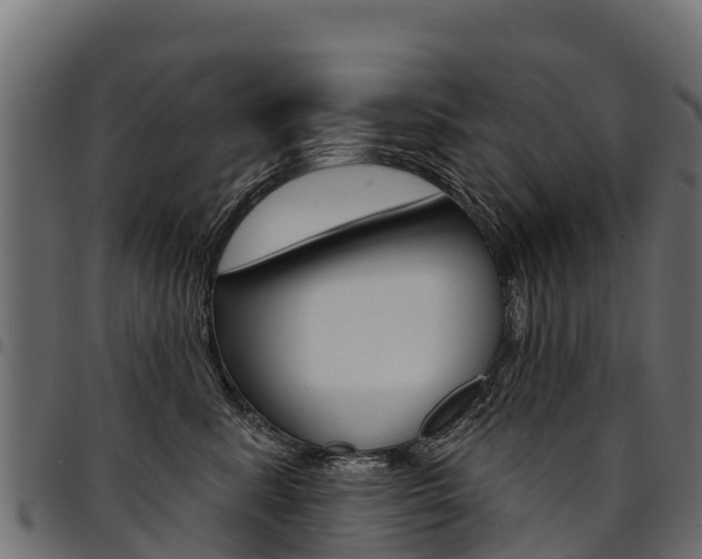 X0000094960619200711291129