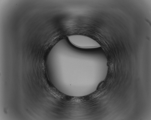 X0000094960620200711291129