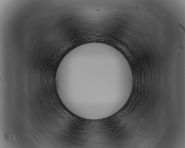 X0000094960621200711291129