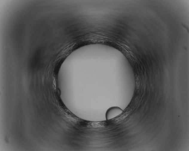X0000094960622200711291129