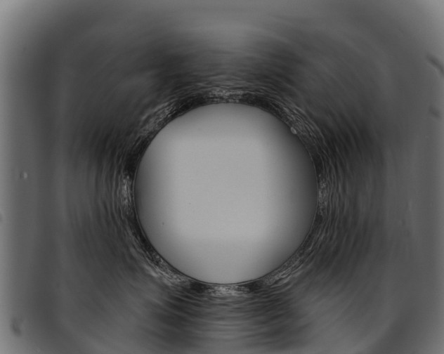 X0000094960623200711291129
