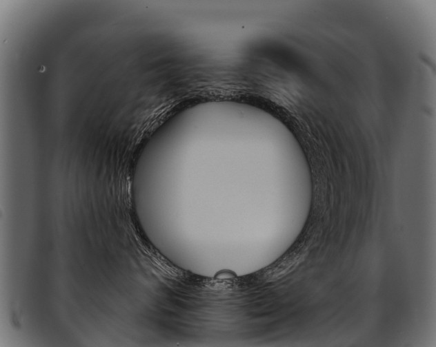 X0000094960624200711291129
