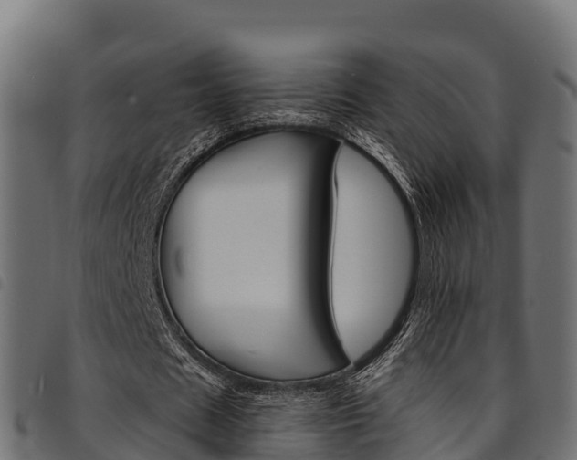 X0000094960625200711291128