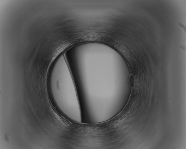 X0000094960626200711291128