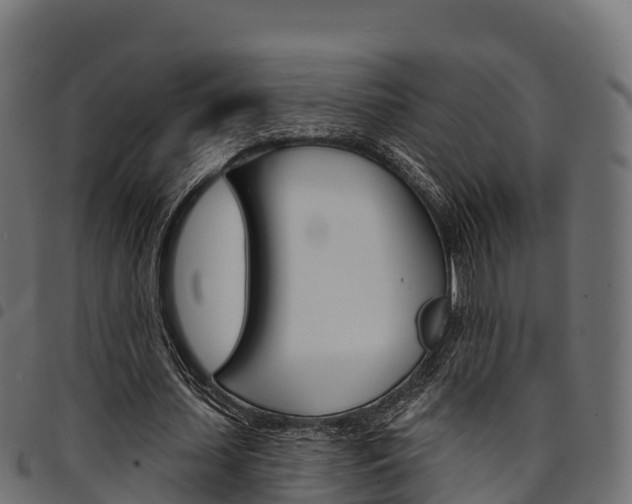 X0000094960627200711291128