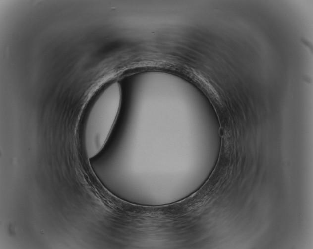 X0000094960628200711291128