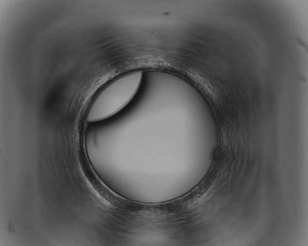 X0000094960630200711291128