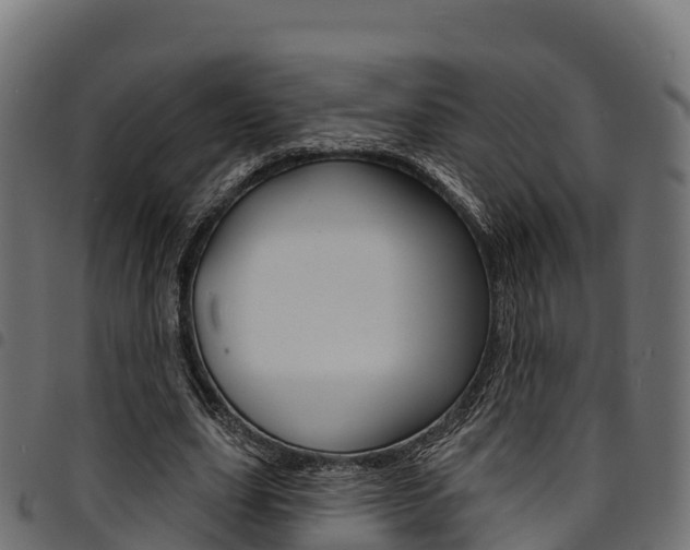 X0000094960631200711291128