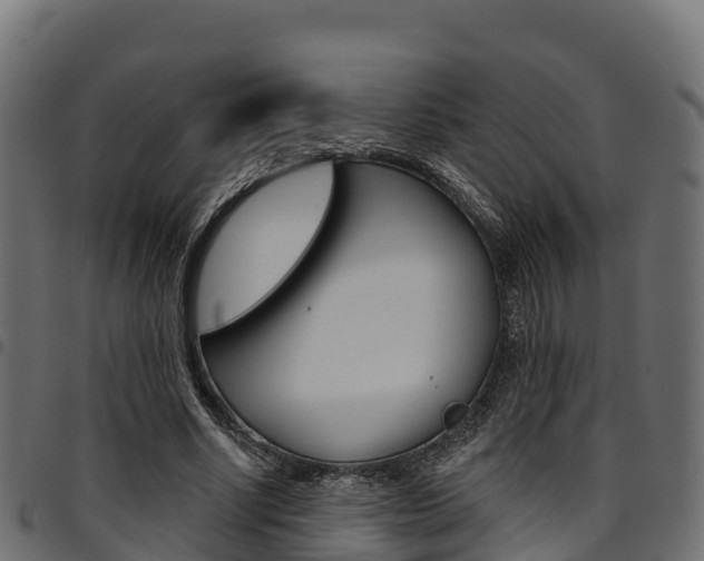 X0000094960634200711291128